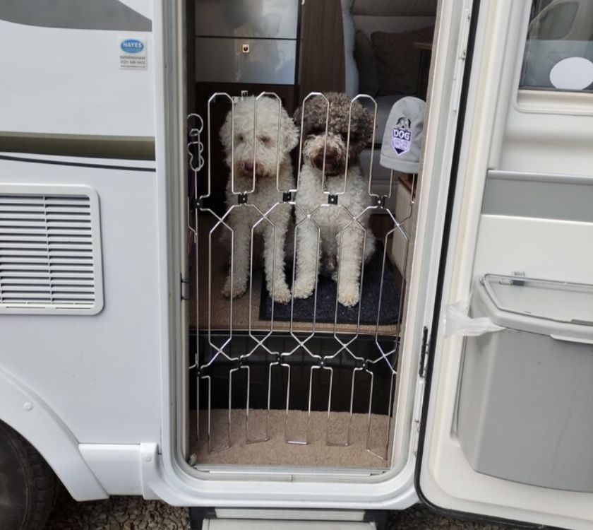 An image of Dog-G8 Motorhome/Caravan